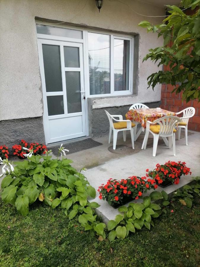 Ferienwohnung Pavicevic Sokobanja Exterior foto