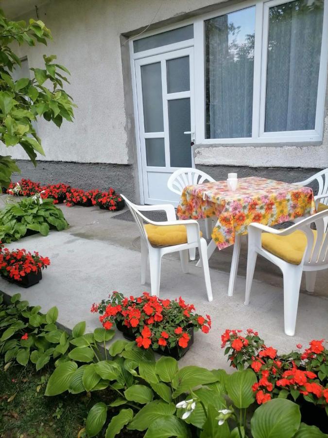Ferienwohnung Pavicevic Sokobanja Exterior foto