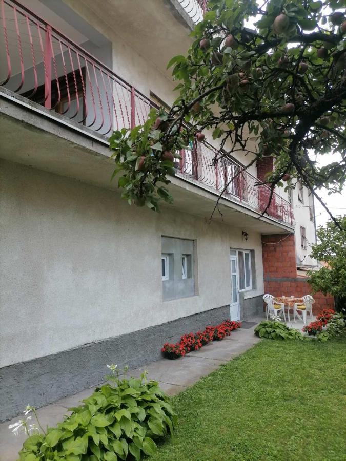 Ferienwohnung Pavicevic Sokobanja Exterior foto