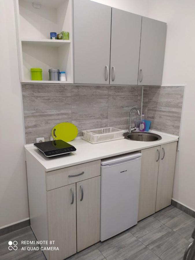 Ferienwohnung Pavicevic Sokobanja Exterior foto