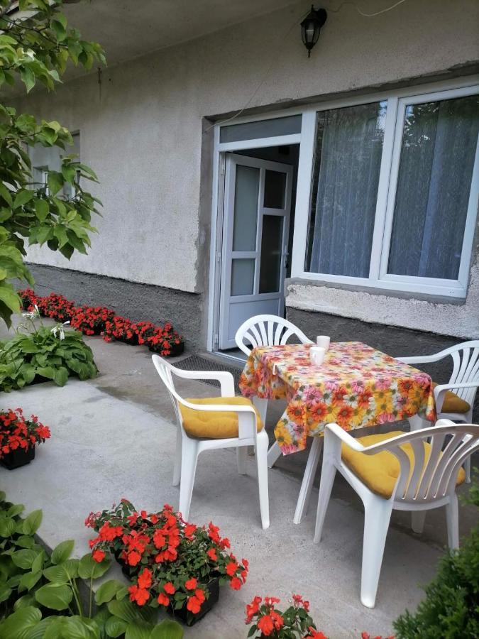 Ferienwohnung Pavicevic Sokobanja Exterior foto