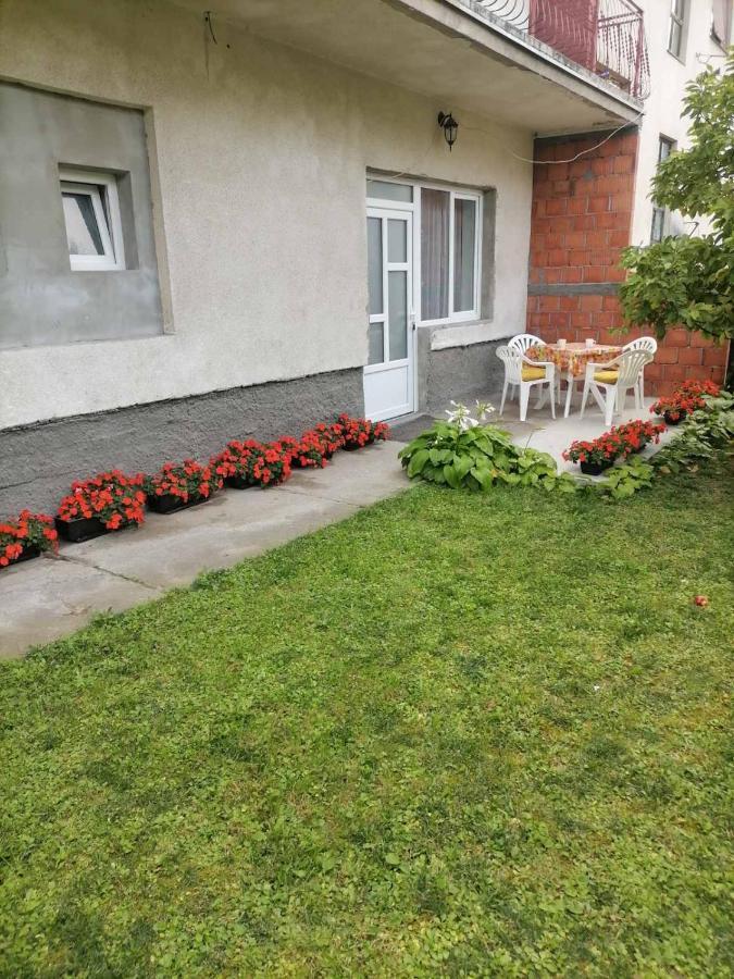 Ferienwohnung Pavicevic Sokobanja Exterior foto
